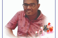 nousad-sir1
